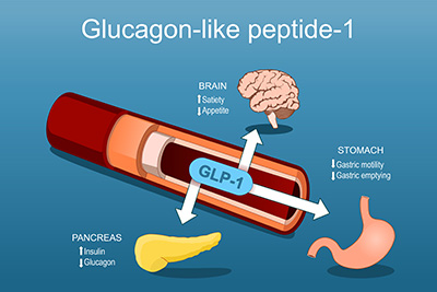 The Evolution of GLP-1 Agonists in Weight Management