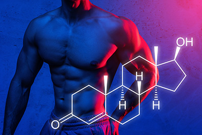 Role of Testosterone in Muscle Mass, Bone Density, and Weight Management